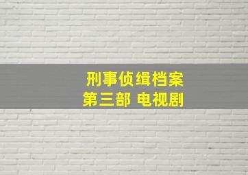 刑事侦缉档案第三部 电视剧